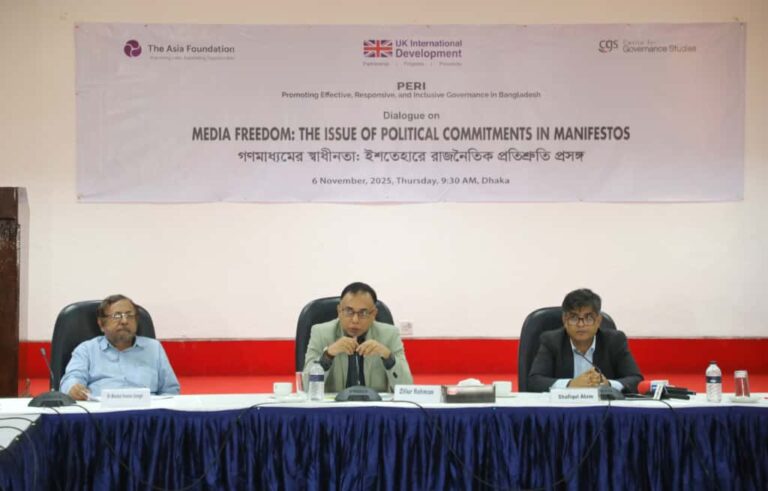Media Freedom: The Issue of Political Commitments in Manifestos, photo 30